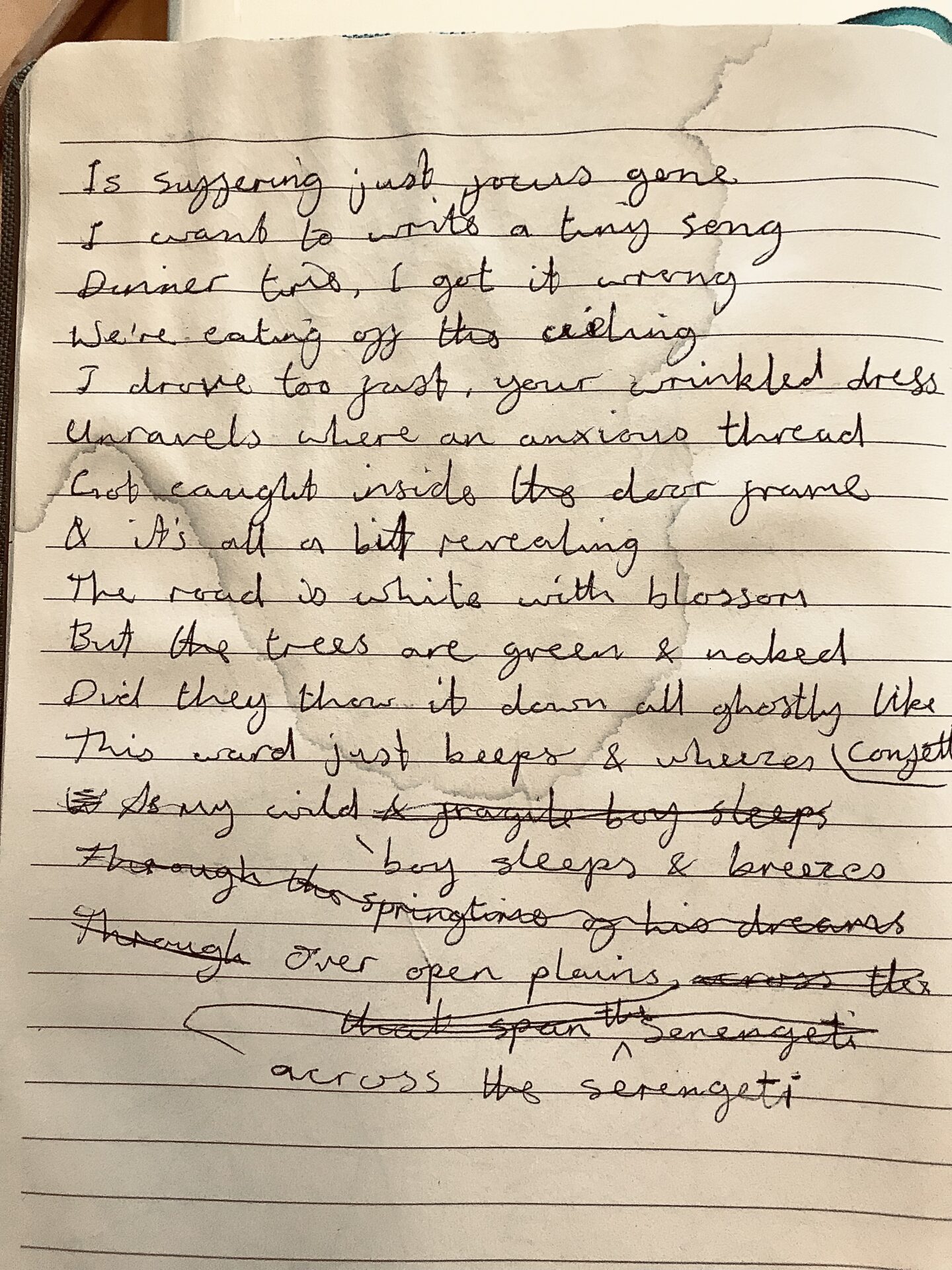 Scribblings